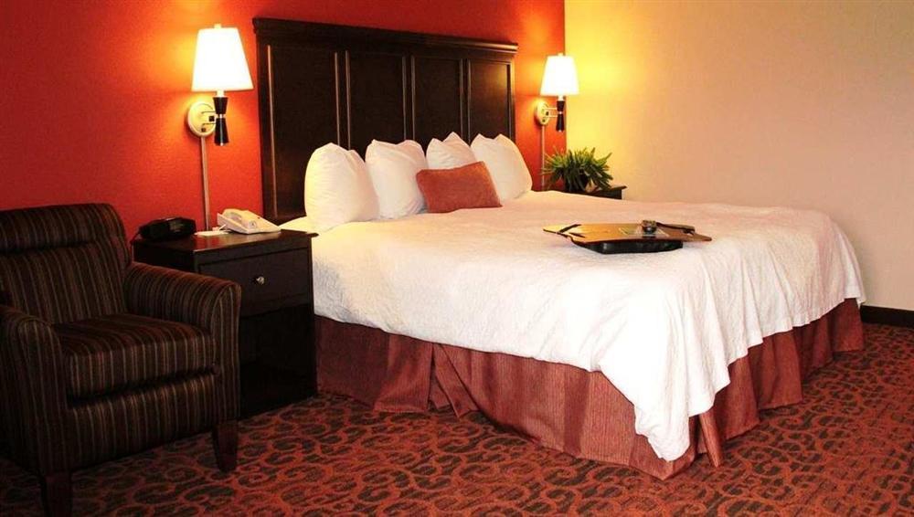 Hampton Inn San Antonio Downtown Chambre photo